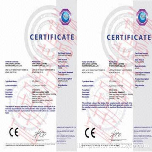 20W matrix power LED floodlight, CE certified